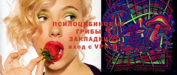 Альфа ПВП Арсеньев