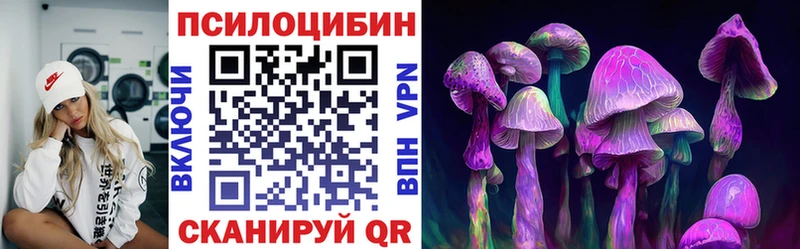 Псилоцибиновые грибы мухоморы  дарнет шоп  Темрюк 