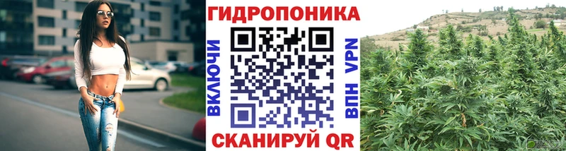 Каннабис Bruce Banner  купить  цена  Темрюк 